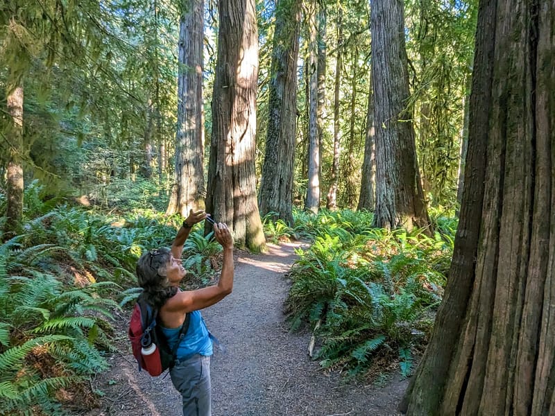 Hike to Marymere Falls