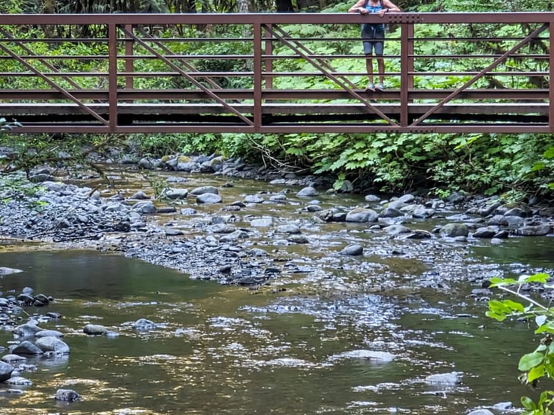 Bridge to Marymere Falls