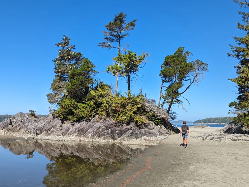 Along our morning run