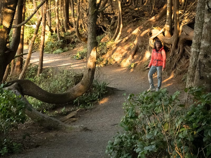 Along the Lighthouse Loop