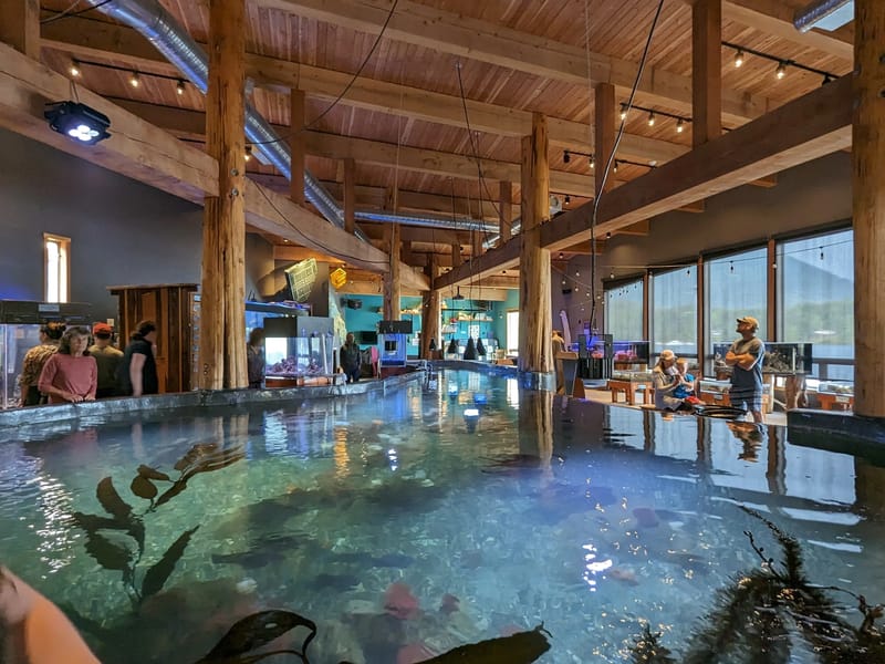 Ucluelet Catch-and-Release Aquarium