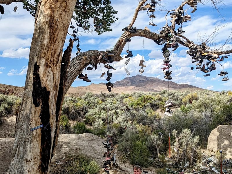 The Shoe Tree