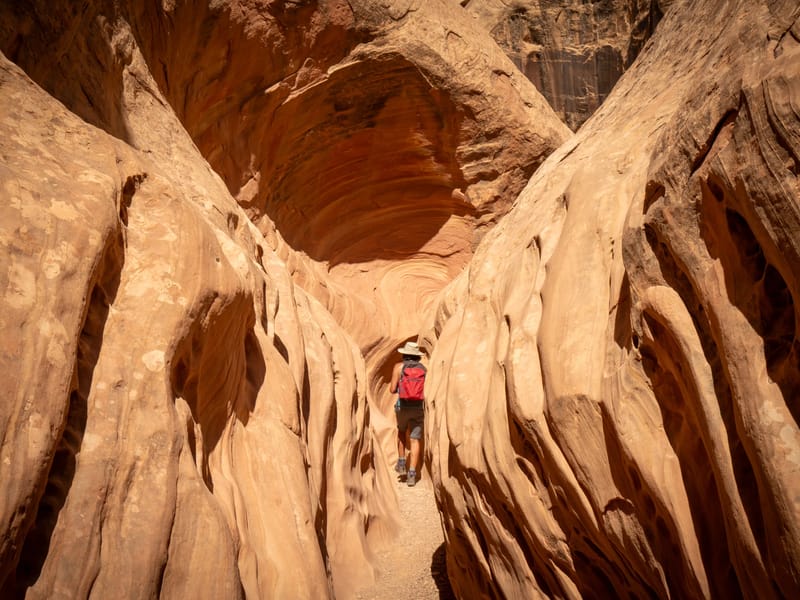 Little Wild Horse Slot Canyon