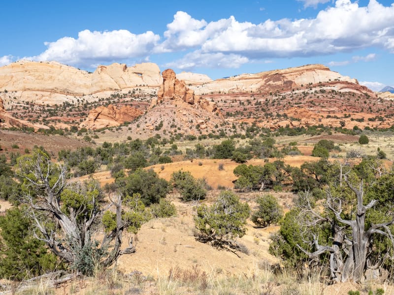 Along the Burr Trail