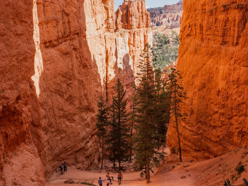 Hiking down into the Amphitheater