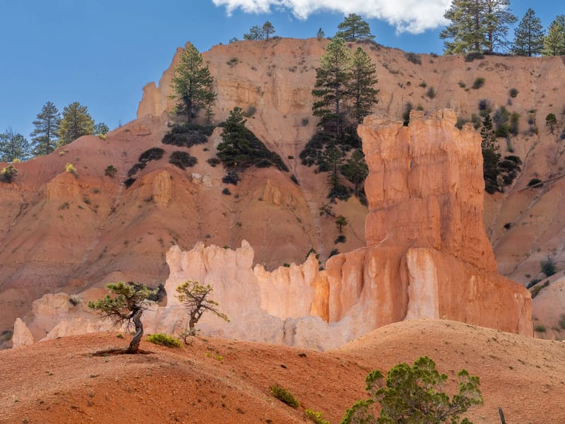 Along the Queen's Garden Trail