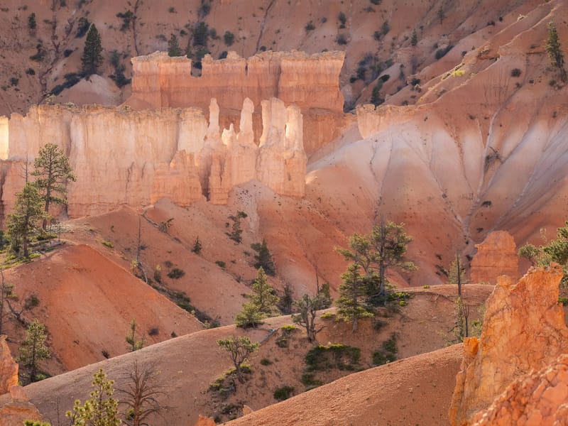 Along the Queen's Garden Trail
