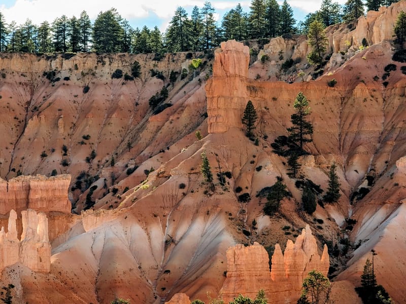 Along the Queen's Garden Trail