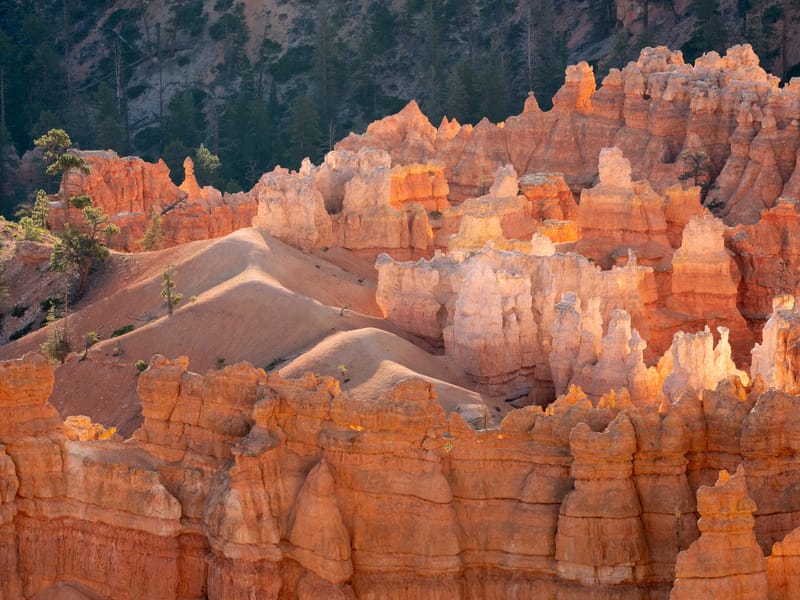 Sunrise from Inspiration Point