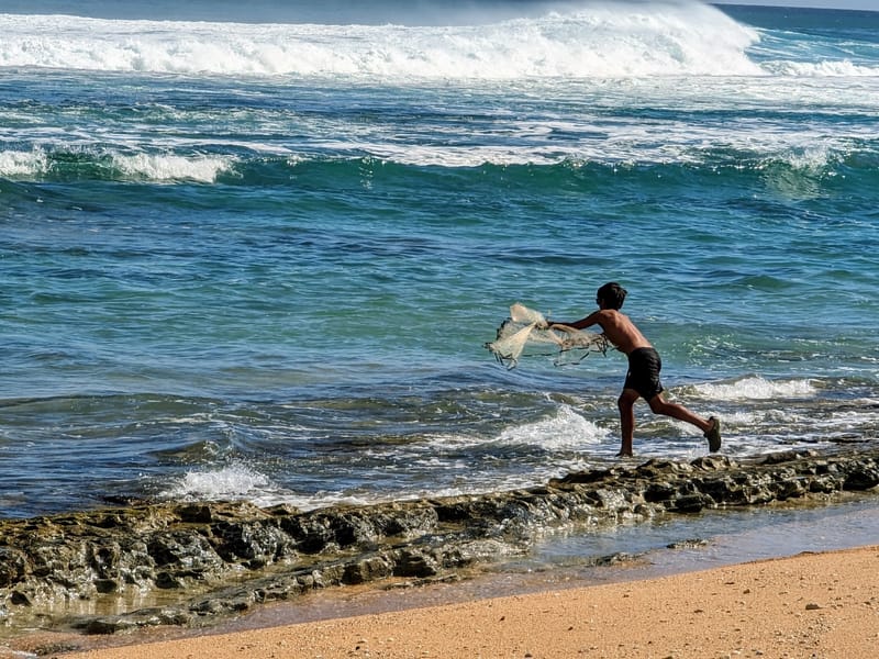 Traditional Hawaiian net fishing