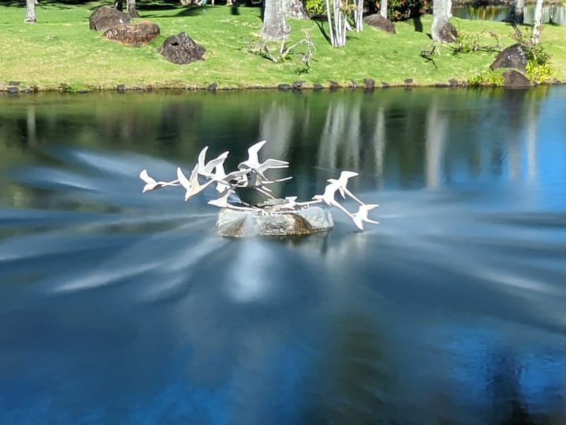 “Flight of the Tropic Birds"