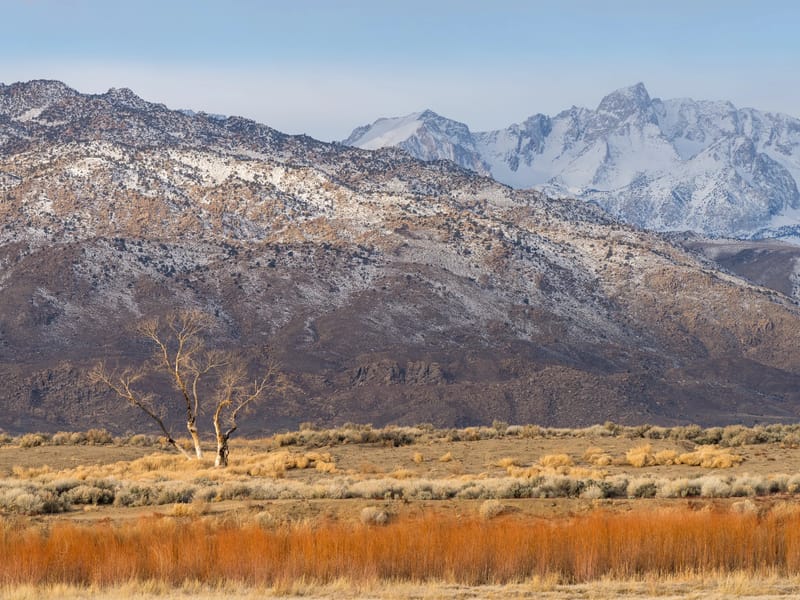 Along the Bishop Canal at sunrise