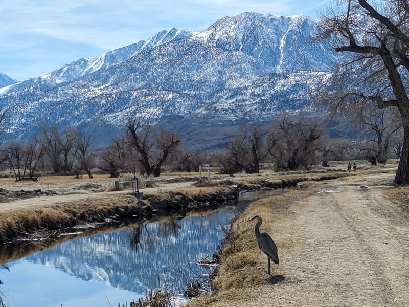 Along the Bishop Canal