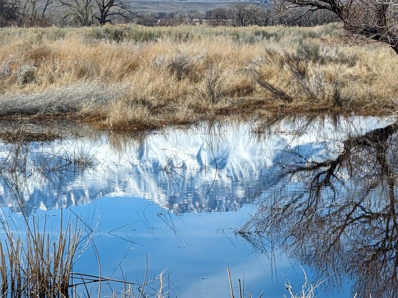 Stroll along the Bishop Canal