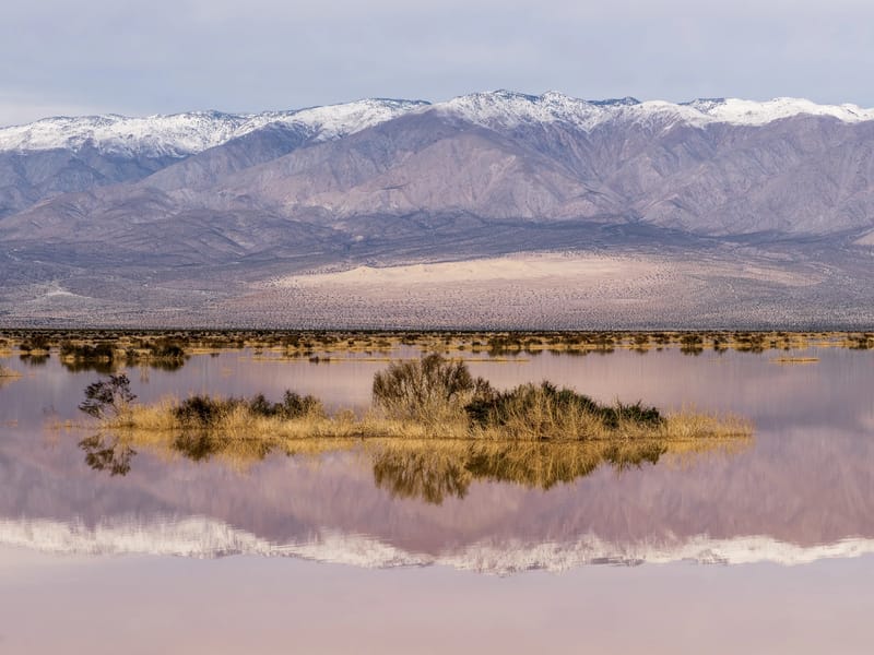 Ephemeral Pond near Panamint Springs