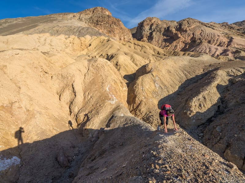 Wandering over Artists Palette