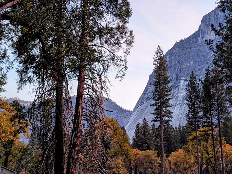 Evening walk to the Ahwahnee
