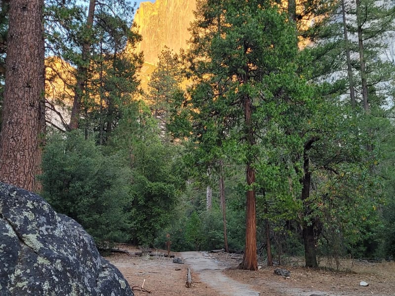Trail to Mirror Lake