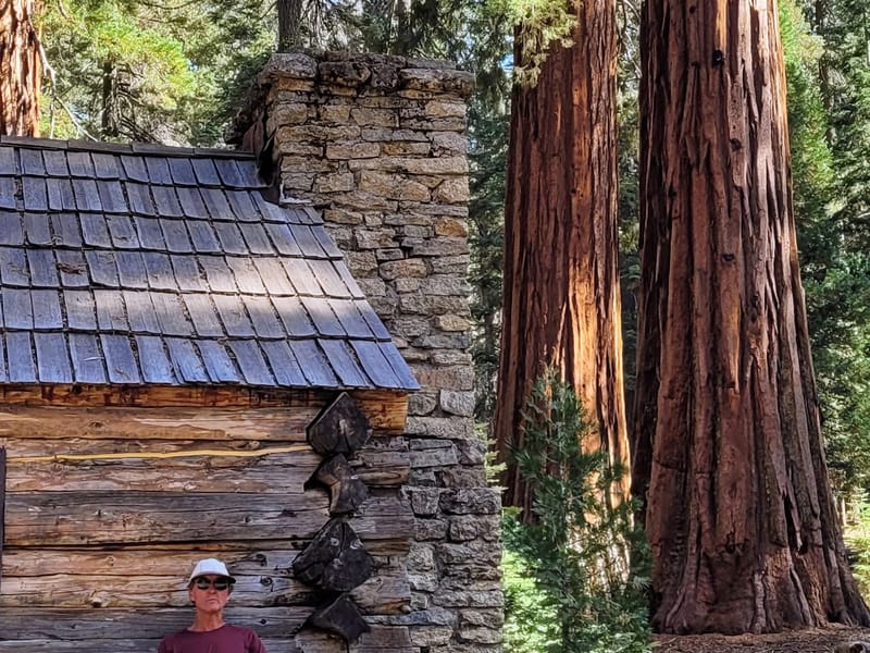 Mariposa Grove Cabin