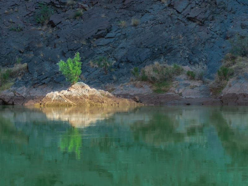 Morning light hits the river