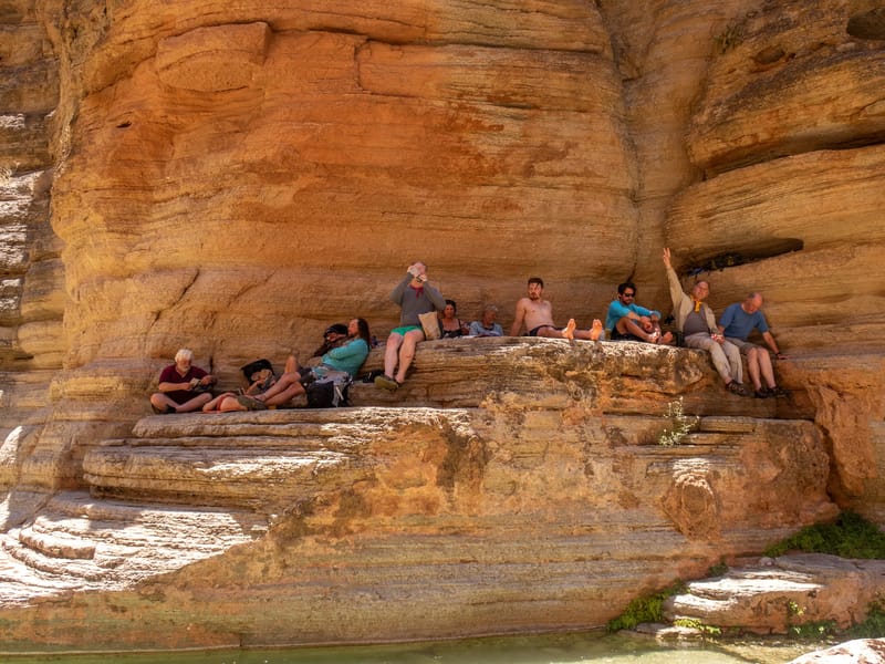 Hanging out on the ledges