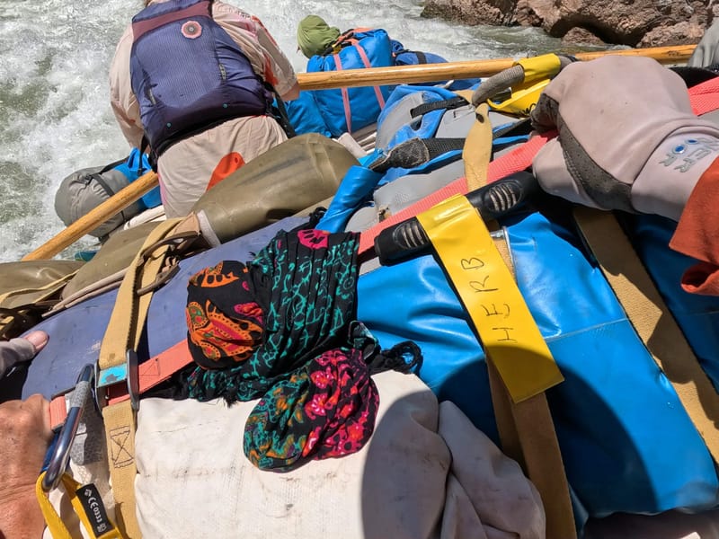 Running Lava Falls Rapid