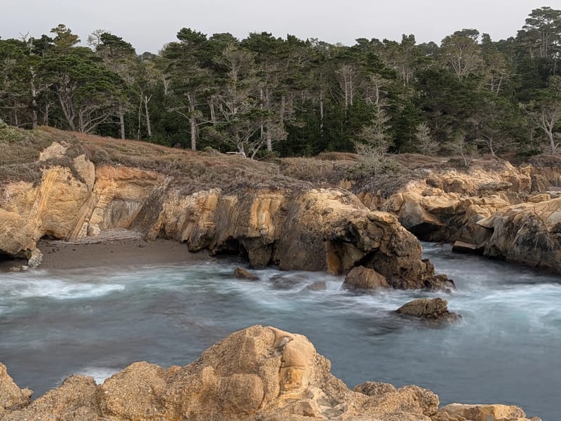 Point Lobos