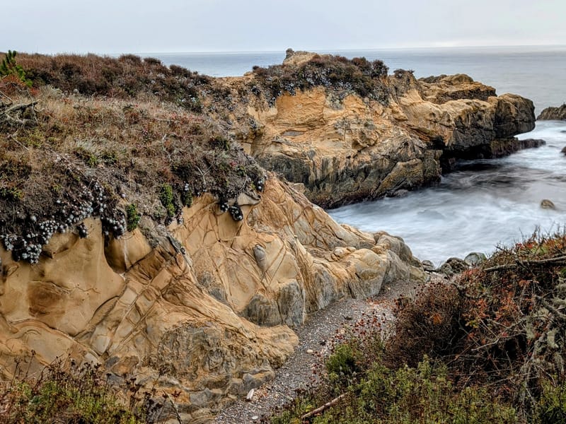 Point Lobos