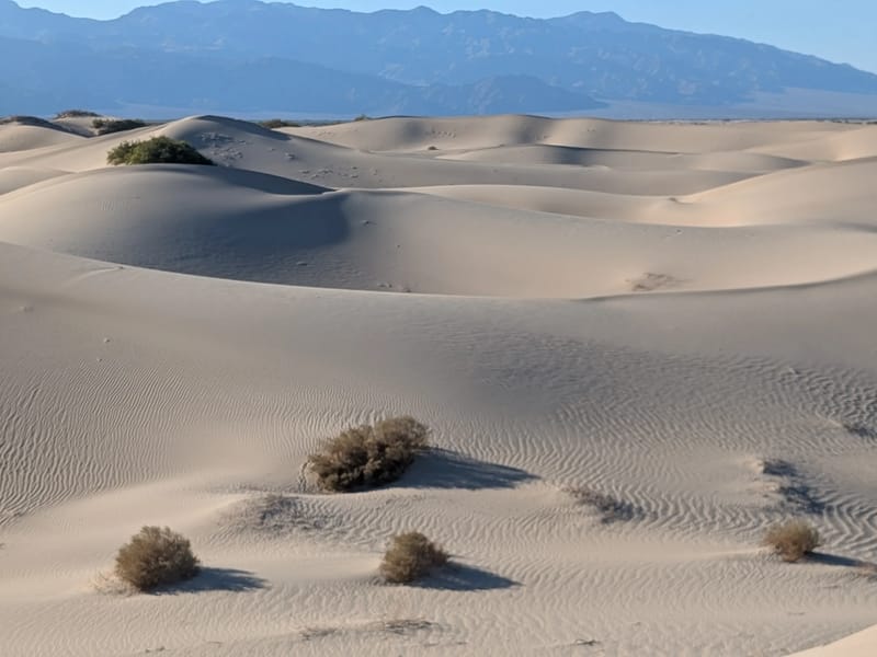 Mesquite Sand Dunes