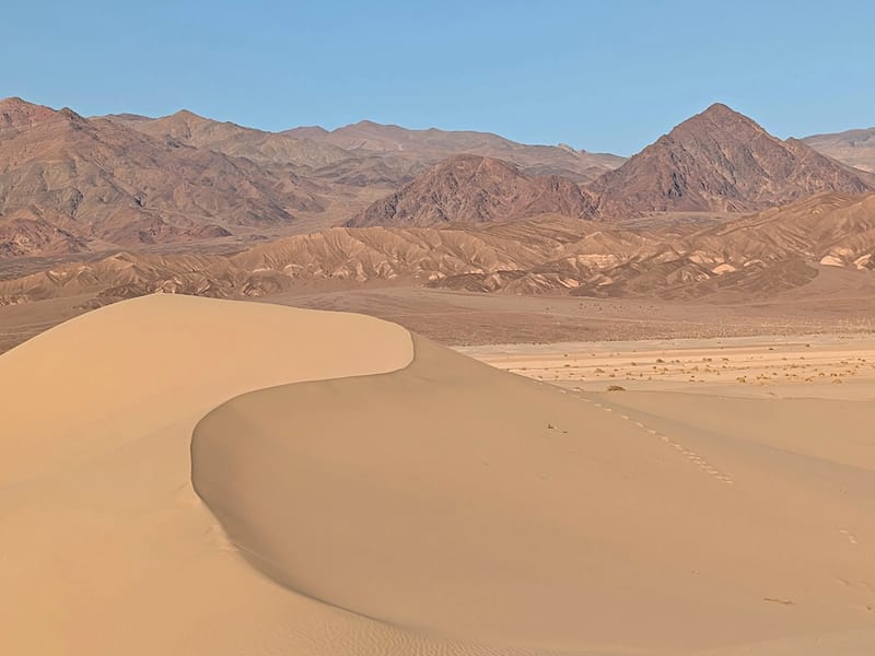 Golden Hour on Mesquite