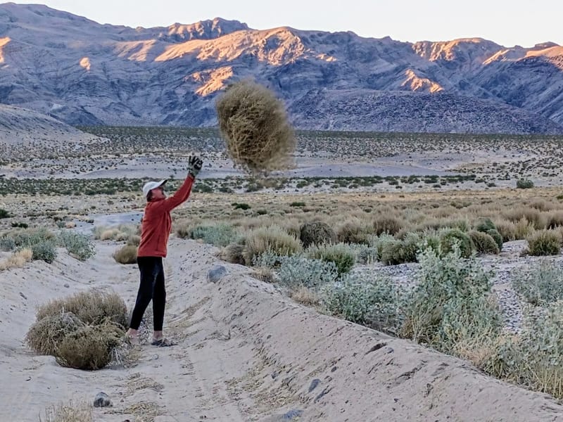 Morning trail maintenance