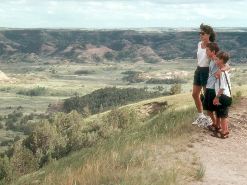 Theodore Roosevelt Park overlook