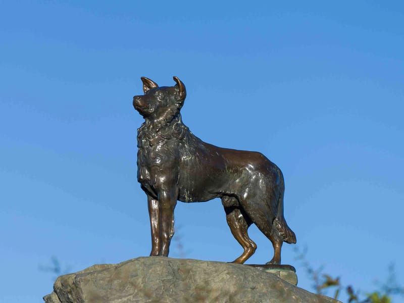 The Sheep Dog Memorial