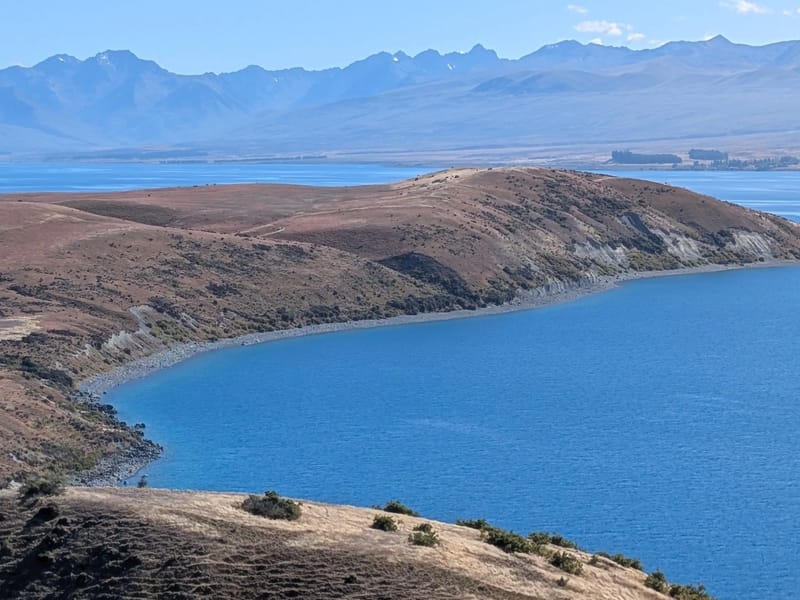 Along the Mount John Loop Trail