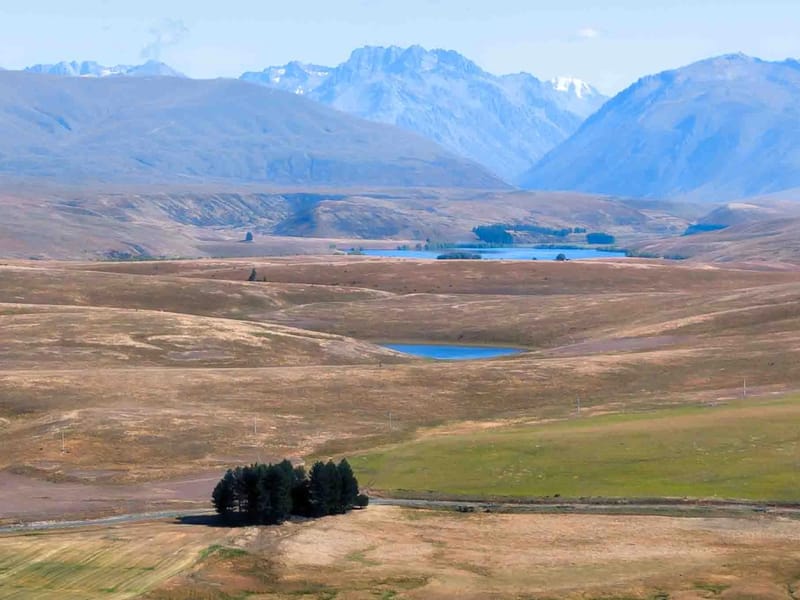 Along the Mount John Loop Trail