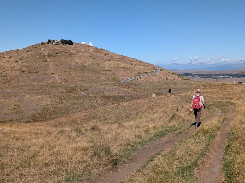 Along the Mount John Loop Trail