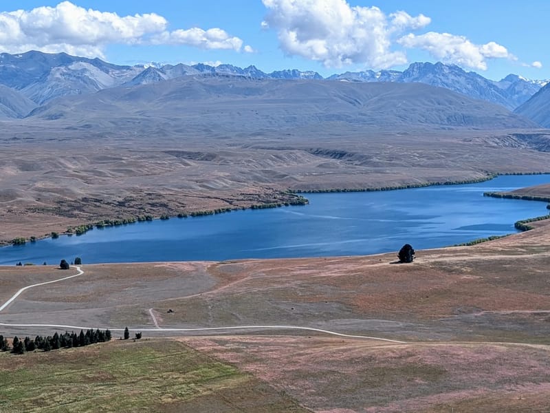 Along the Mount John Loop