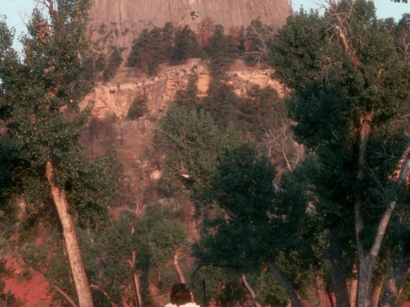 Early AM Lolo with Devils Tower