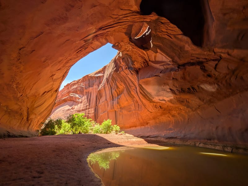 Herb's tip for a good  photo