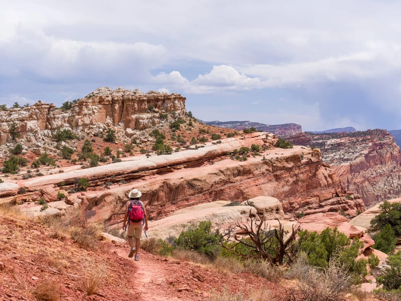 Along the benches on the way back