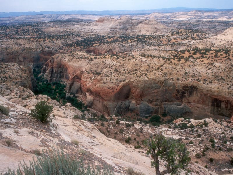 Kalchbrenner Family at Hoover Dam