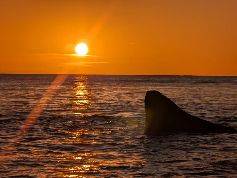 Moshup Beach at Sunset