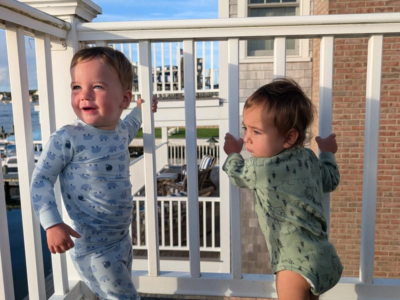 "Out-doo" to visit their bird friend