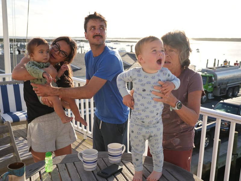 Alien attack or seagull