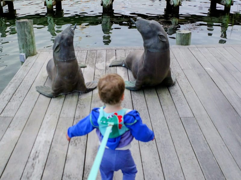 Nora on her way to the wedding