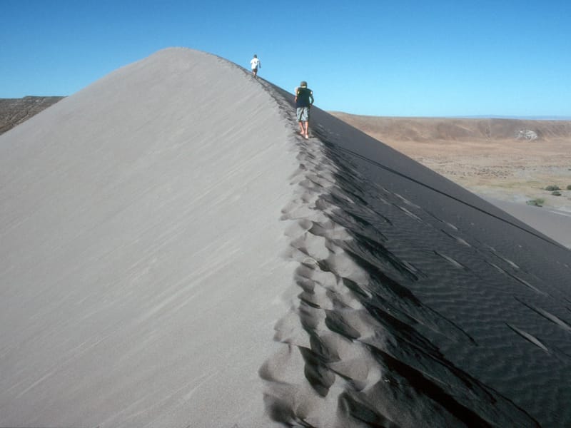 Boy's climbing the dune ridge