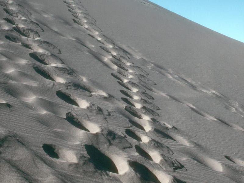 Steep Bruneau Dune Ascent