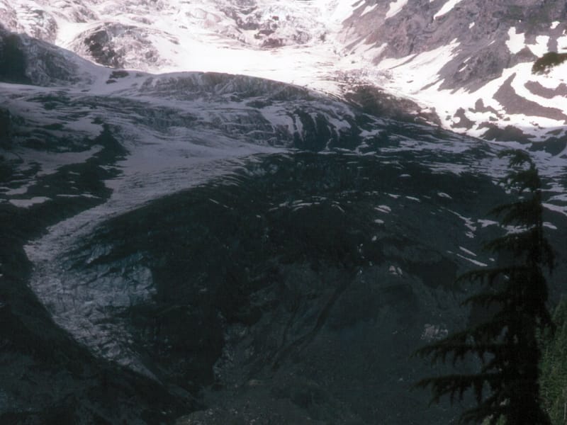 Nisqually Glacier