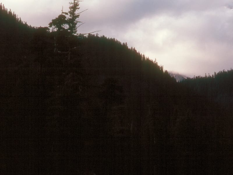 Mount Rainer disappearing in the clouds