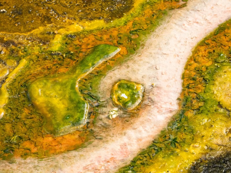 The colors of Orakei Korako